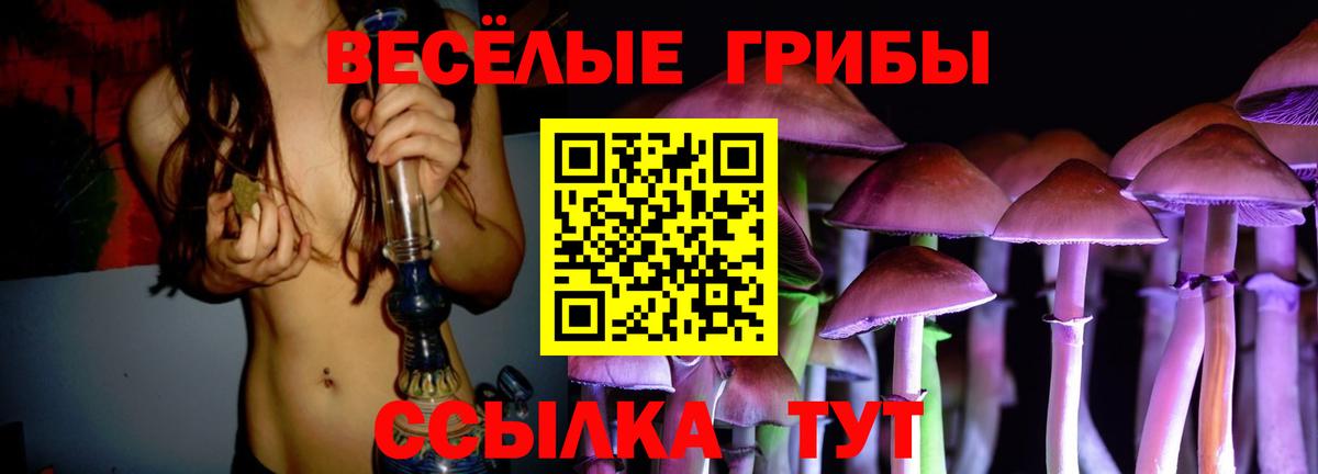 Янаул  Псилоцибиновые грибы Psilocybe  сколько стоит  Вход с VPN 